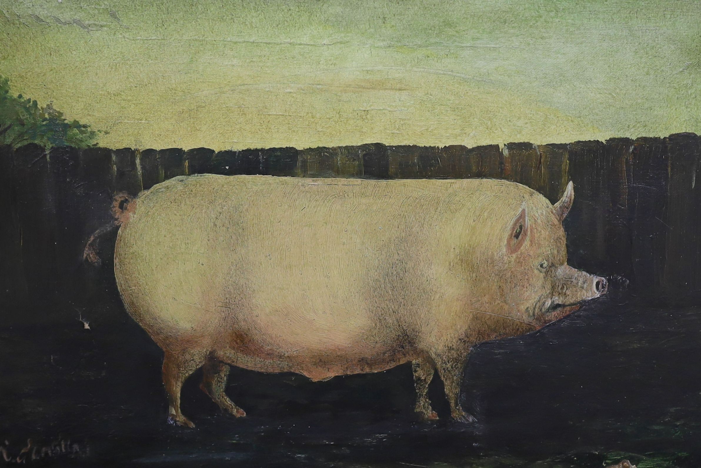French School, three primitive studies in oil of pigs and a bull, indistinctly signed, largest 37 x 54cm